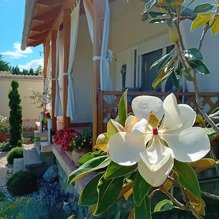 Magnolia Vendeghaz Appartement *